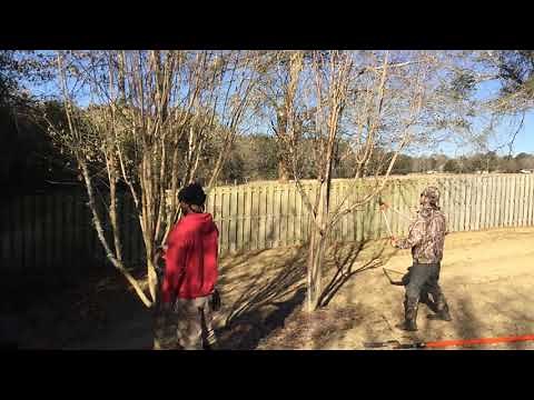 Crepe Myrtle Topping (Video 1)