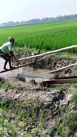 4045.Agricultural Irrigation Pictures