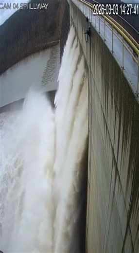 What did this security camera capture when nobody was watching?