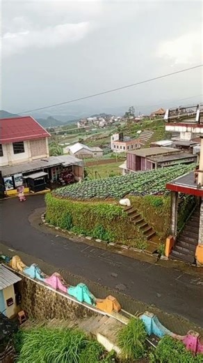 backpacker is back #shorts #nepalvanjava #tourism