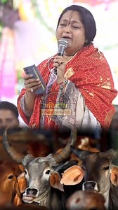 61K views · 829 reactions | दिल जीत लिया दीदी रुला दिया सच्ची मै ~ गौ माता की सेवा | Live Bhakti Sangeet | Facebook