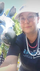 1.4K views · 44 reactions | It's time for the South Dakota State Fair in Huron! The Democratic building is open all week with lots of activities and amazing cookies. #harris2024 #democrats #southdakota #statefair | South Dakota Democratic Party | Facebook