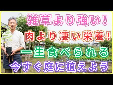 【99％の家庭菜園が知らない】 食料危機を救う「奇跡の薬草」。雑草より強く肉より栄養豊富なのに、なぜ誰も育てていないのか。今すぐ庭に植えないと一生後悔する奇跡の木の真実