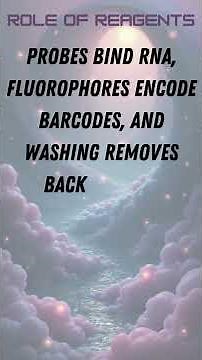 Spatial Transcriptomics MERFISH