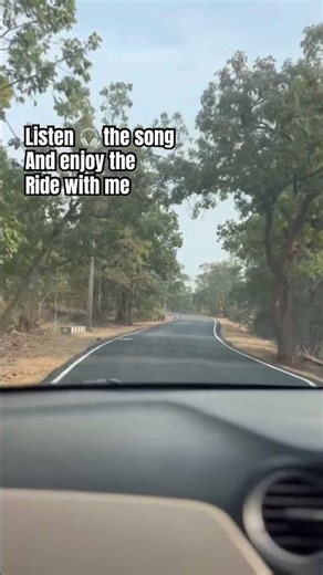 Through the Lens: A Different Perspective of the Road