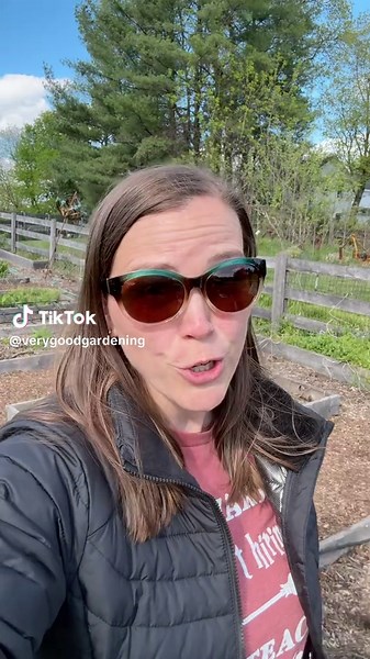 Maryland cover your plants! If you want a future #harvest make sure to cover your plants before the freeze. Your #backyardgarden will thank you later. I’m hoping everything will be fine but I won’t know until the morning. #growyourownfood #Maryland