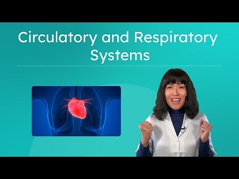 Circulatory and Respiratory Systems - Supplying Oxygen and Nutrients