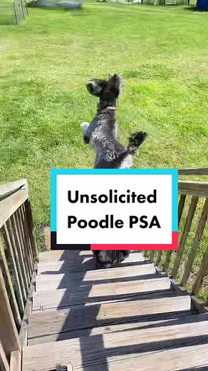 Annie Muscato on TikTok