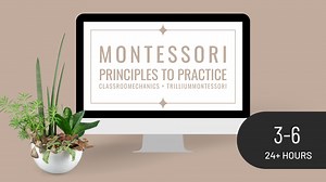 Principles to Practice Library (3-6)