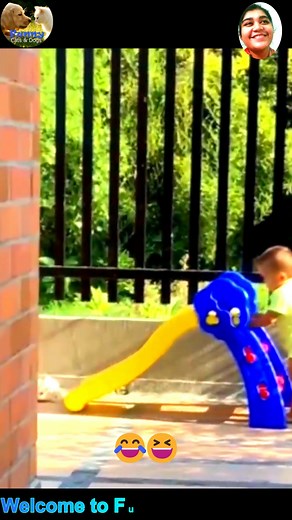 14K views · 44 reactions | funny cat and dog videos for kids #funny #cat #dog #short #foryouシ #cats #dogs #reelsviralシ | Funny Card | Facebook