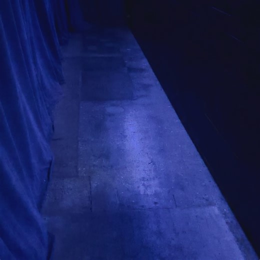 Fallon Lee on Reels | Facebook