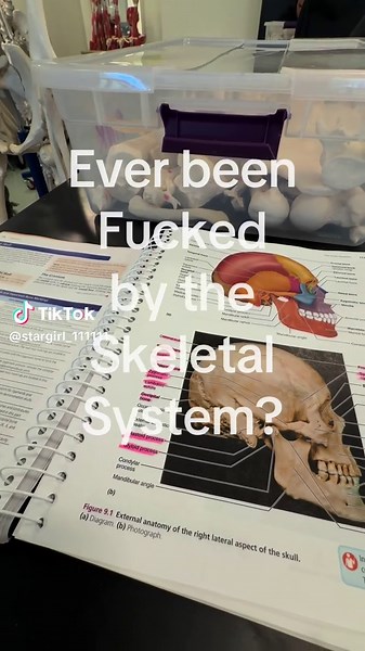 Ever Been Fucked by the Skeletal System? Anatomy & Physiology