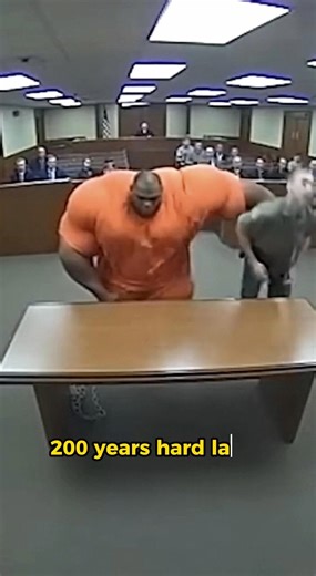 Man sentenced to life imprisonment plus 200 years in a U.S. state prison, with hard labor #court #prison #sentences #kingguard | Nani Scarlet2