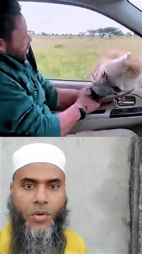 Fox attack on man 🤔 #Shorts #wild