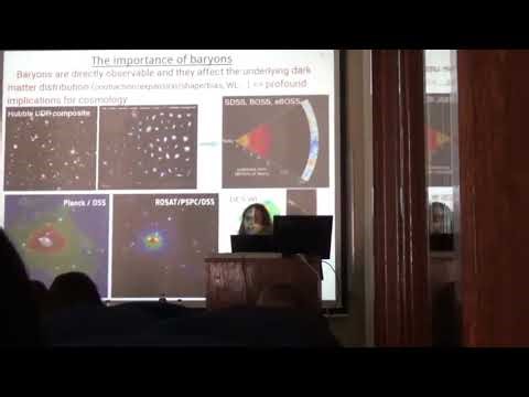 Cosmological simulations of structure formation: a critical view