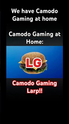 Camodo Gaming at home: #camodogaming #spycakes #gmod #baldisbasics