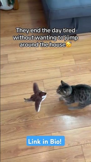 Interactive Flying Bird Cat Toy - Order Today 👇