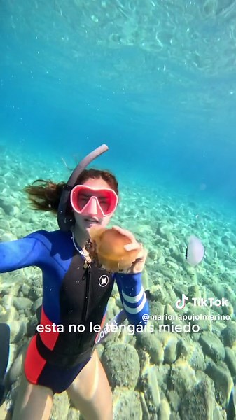 Tipos de medusas del Mediterráneo: Descripción y características