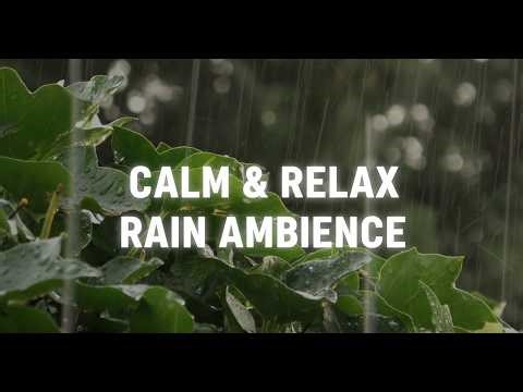 10 Hours of Gentle Rain Sounds for Sleeping | Deep Relaxation, No Distractions