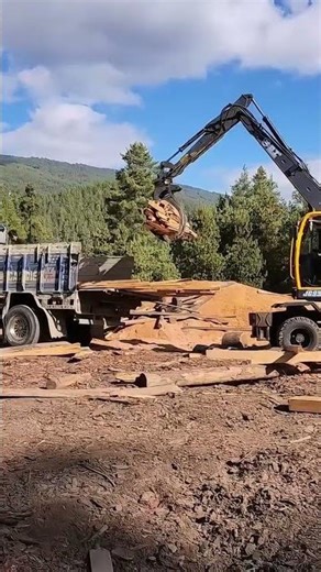 JG 95Z Log Grapple Timber handling work site Customization/OEM/Global Agency Recruitment