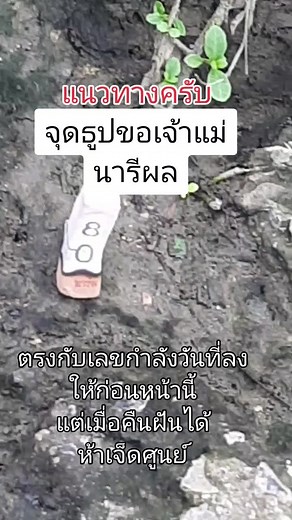 วิดีโอของ วันวัน บุญช่วย 8264 (@wanwanboonchouy8264) พร้อมเพลง เสียงต้นฉบับ - 🎶คนอุดร.ชอบเสียงเพลง🎶 - 🇹🇭สาวอุดรชอบเสียงเพลง🇰🇷