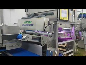 Spray: optical sorting machine for baby spinach leaves | RAYTEC VISION SpA