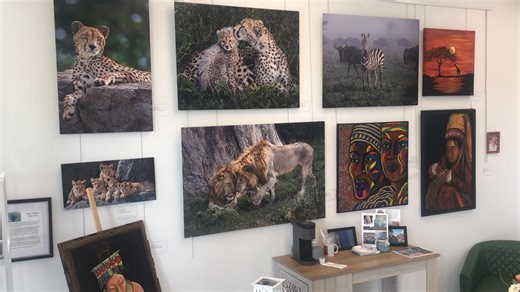 38 reactions | African Animals, paintings of cultural diverse subjects, scenic FL, Andy Warhol screen print, Zentangle art. That is just what we’re exhibiting in the first room of five at the Galleria. | Galleria of Art and Photography | Facebook