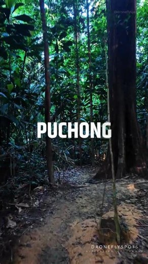 Living in Malaysia's Most Relaxing City #shorts #Malaysia #Travel #Jungle #Scenery