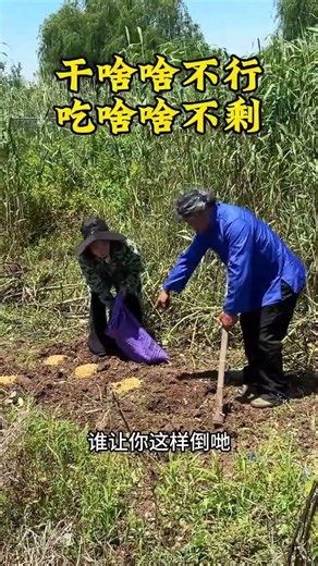 Watch the funny cross-dressing of mother-in-law and daughter-in-law and laugh over and over agai
