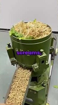 Every night at 3:53 A.M., I hear screams in my basement. Tonight, I found out the disgusting reason