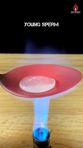 1000°C Hotspoon VS Young Sperm 😱 #satisfyingvideo #experiment #foryou #fypシ | Hot Spoon Experiments