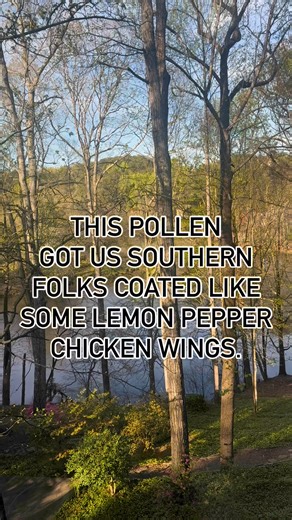 Your seasonal allergies just got picked up for another season.#Georgia #spring #pollen #allergies #runnynose #sneeze #cough #wateryeyes #fyp #foryou #949thebull | 94.9 The Bull