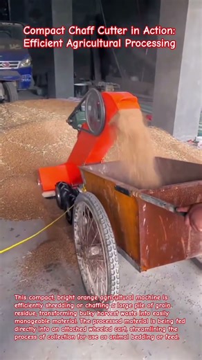 Compact Chaff Cutter in Action: Efficient Agricultural Processing