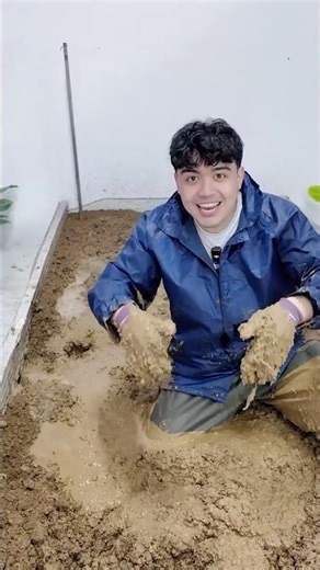 CAN I FIND THE KEY IN THE SWAMP?