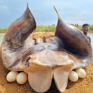 254K views · 1.1K reactions | Amazing big stuck fishing video river catching deep underground big monster fish by fisherman #fish_video | Fisherman Animal Lover-Original | Facebook