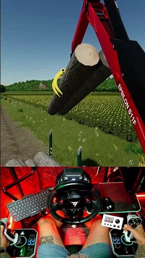 Timber Delivery Mission 😮‍💨 Log Loading & Transport | FS25 #farming #simulator #fs25
