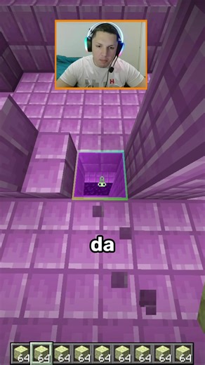 Minecraft Elytra Before Ender Dragon