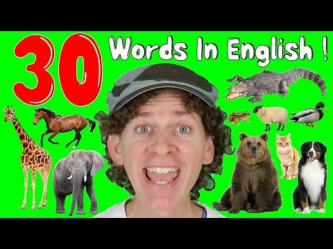 Animals | Learn 30 Words | Dream English Kids