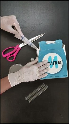 How to Use Parafilm for Sealing Glassware's in Laboratory | Use of Parafilm