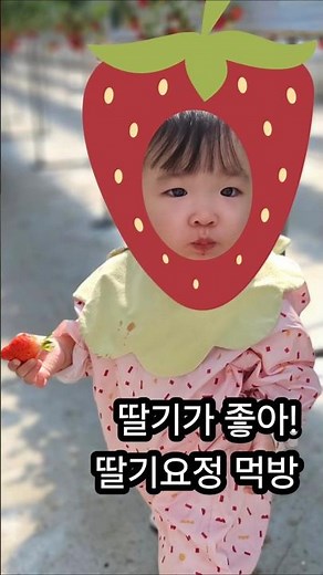 (413일)🍓딸기체험현장!딸기먹방 #딸기체험 #어린이집활동 #아기딸기체험 #딸기먹방 #13개월아기 #아기먹방