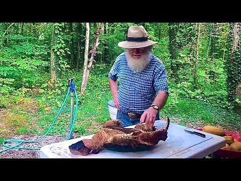 How to skin a turtle!