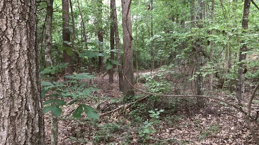 #Paratroopers, have you been looking to add a little something extra to your runs? Look no further. Beginning today the All American Mile obstacle run is open for use by all Paratroopers. This new course, built by our Division Engineers, features nine sets of obstacles including walls, modified weavers, and horizontal ladders, can provide an added challenge for units to incorporate in their physical training runs in the 82nd area. With start/finish points near the Division HQs and Ritz-Epps athl