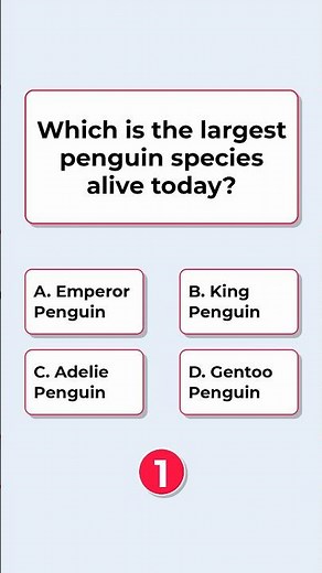 amazing animal facts | story of penguin | interesting facts about penguins