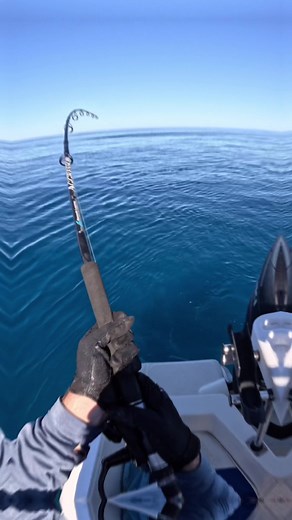 HOW TO CATCH BIG FISH😎#greatbarrierreef #australia #fishing #lurefishing