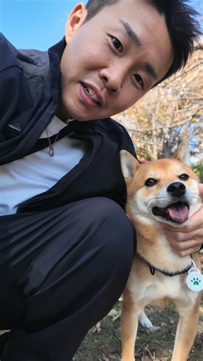 ゆぺパパ/動物を愛する女性と結婚して人生激変 on Instagram: "世界の名犬牧場( @meiken_bokujou )に行ってきました❤️‍🔥 赤城山麓の自然あふれる群馬県前橋市にある「犬と人のためのコミュニティパーク」✨ 約 3万㎡の広大な敷地で、ドッグランや芝生のフィールド、散歩コース、ドッグカフェ、ペットショップなど、犬好き・愛犬家・初心者でも楽しめる施設が整ってたよ🥰 小型犬〜大型犬まで、犬との触れ合いを目的にしたコーナーがあり、犬を飼っていない人でもワンちゃんと触れ合える🐶レンタルで好きなわんちゃんとお散歩もできちゃう🚶🐶 可愛い柴犬とゴールデンレトリーバーとワチャワチャ出来てゆぺパパ幸せでした🤍 ワンちゃんと一緒に中でも外でもご飯を食べれるレストランがあるから凄い良かった♪紅葉もとっても綺麗で人も犬も楽しめる施設😮‍💨🩷 皆んなも行ってみてね〜🤍 群馬県前橋市富士見町石井2252-1 営業時間：10:00〜18:00（敷地・施設により異なる場合あり）"