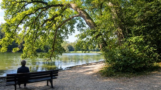 Une promenade paisible au parc de Nymphenburg à Munich (4K)