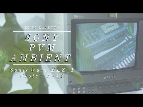 Sony PVM Ambient - SonicWare ELZ_1 Play/ Fostex X-12