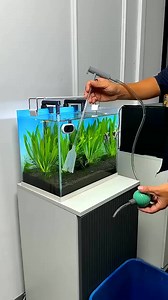 Magic 🪄 Filter for Aquaristic Cleaning #fishtanksetup #trending #fishaquarium #fish #filter #shorts #fyp #reels #viral | Aquatic Wonders Hub