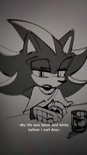 SHADAMY - Shadow the Hedgehog x Amy Rose Ship