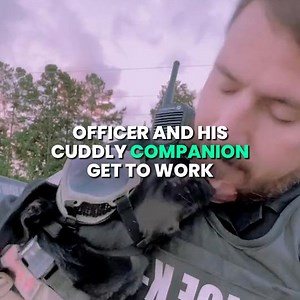 1.3M views · 14 reactions | Officer Ritchey films daily life with his K9 Raider and shows us the trouble they get up to together!  | IGV | Facebook